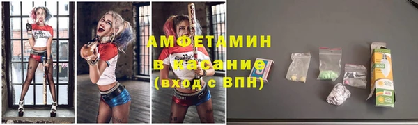 шишки Абинск