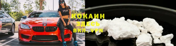 шишки Абинск
