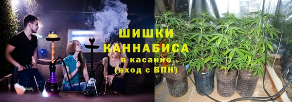 шишки Абинск
