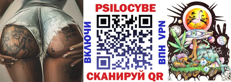 Псилоцибиновые грибы Psilocybe  Чита 