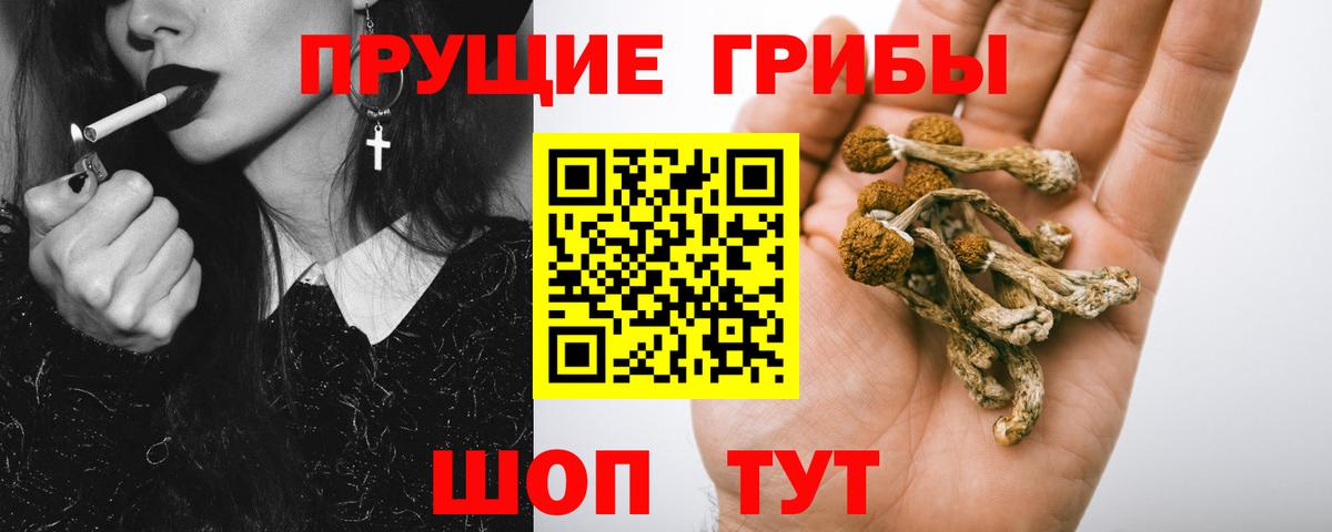 Чита  Галлюциногенные грибы мицелий  Вход с VPN  Псилоцибиновые грибы мицелий 